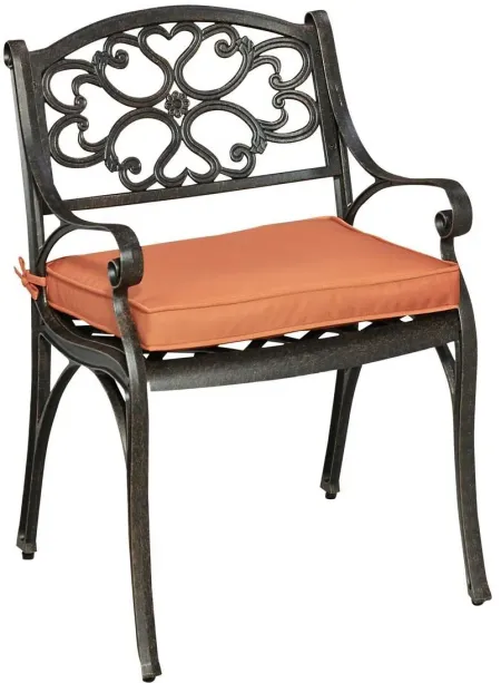 homestyles® Sanibel 2-Piece Bronze Outdoor Chairs with Cushions