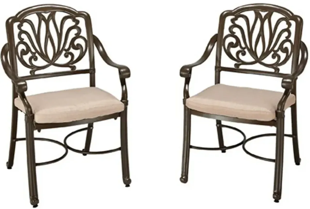 homestyles® Capri 2-Piece Taupe Chair Set