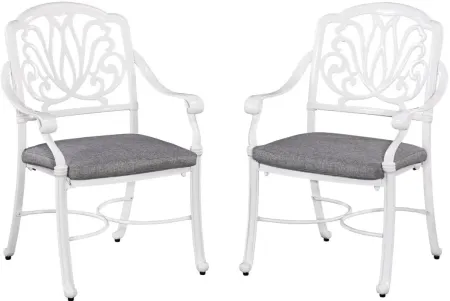 homestyles® Capri 2-Piece White Chair Set