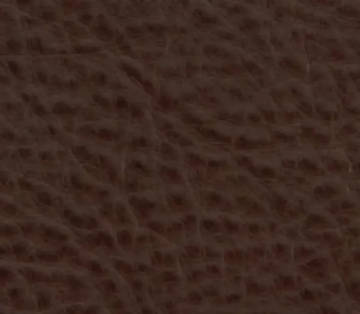 iAmerica Roberto Walnut Power Reclining Sofa with Power Headrest with Lumbar