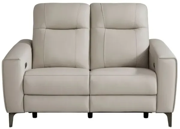 Drew & Jonathan Home Parkside Heights Dove Gray Power Reclining Loveseat