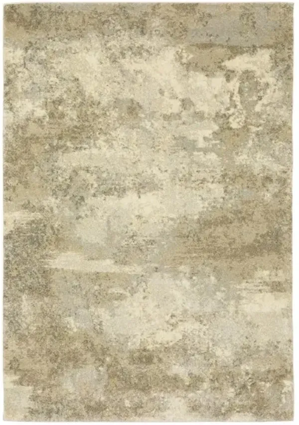 Oriental Weavers Astor 5'x8' Style 1 Area Rug