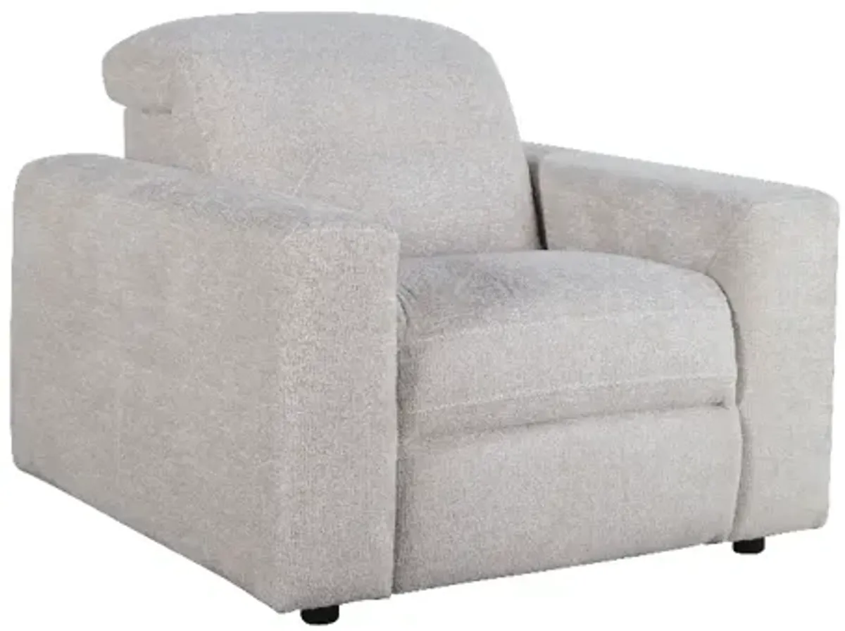 Alexandra Home Porcelain Dual Power Recliner