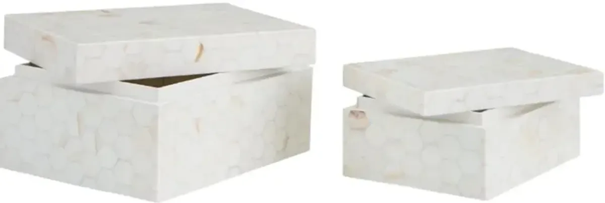 Signature Design by Ashley® Aldenburg 2-Piece Cream Box Set