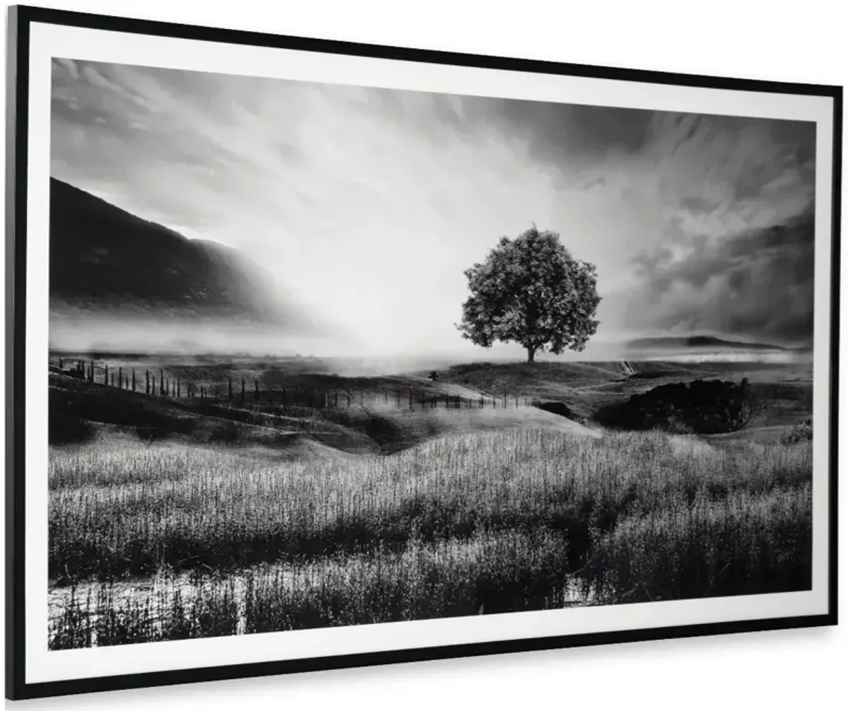 Signature Design by Ashley® Deborland Black/White Wall Art