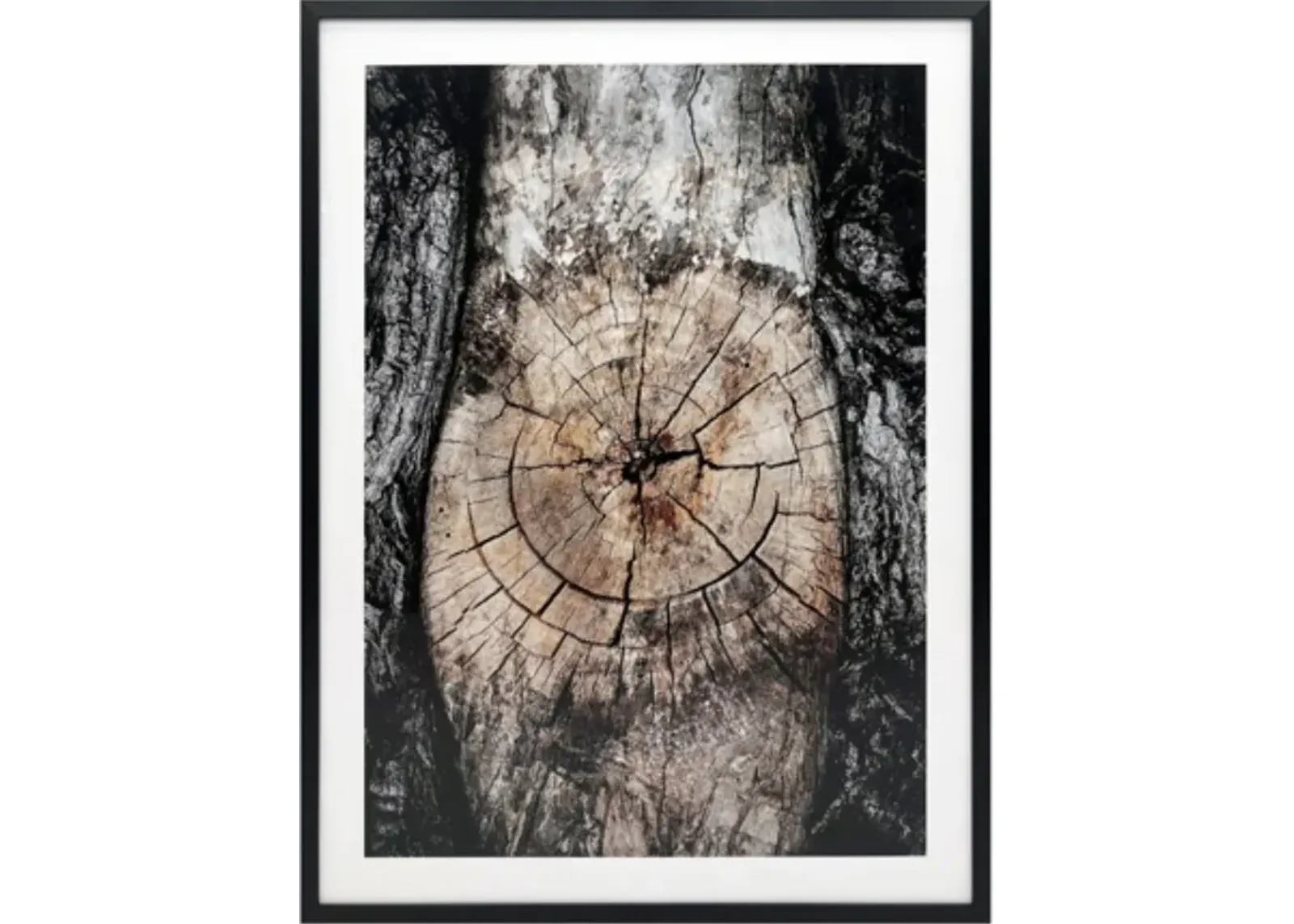 Signature Design by Ashley® Freyburn Brown/Black/White Wall Art