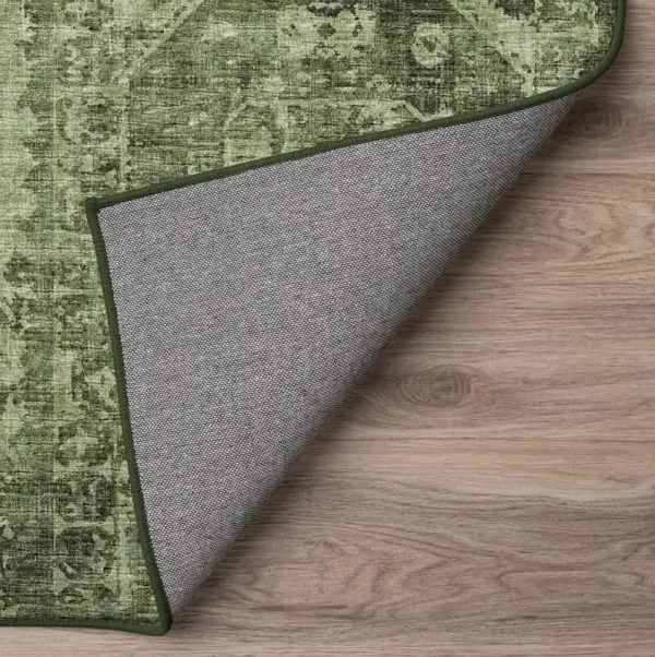 Dalyn Rug Company Aberdeen AB2 Cactus 5'x8' Area Rug