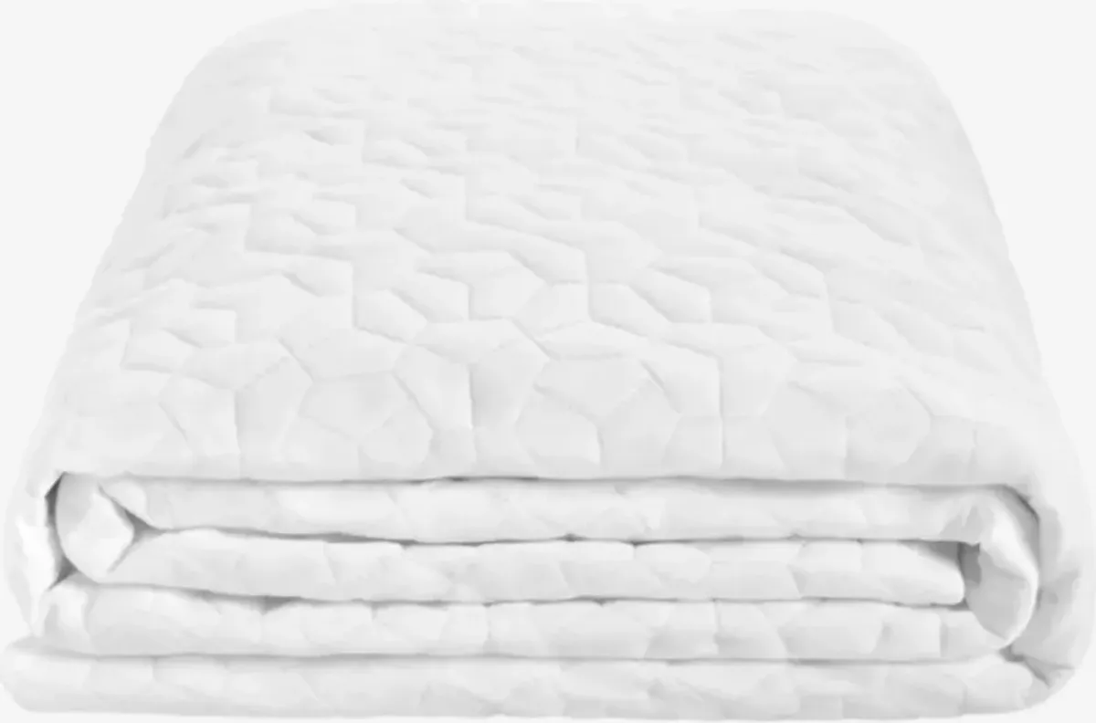 BEDGEAR® Dri-Tec® Performance® Moisture Wicking White Queen Mattress Protector