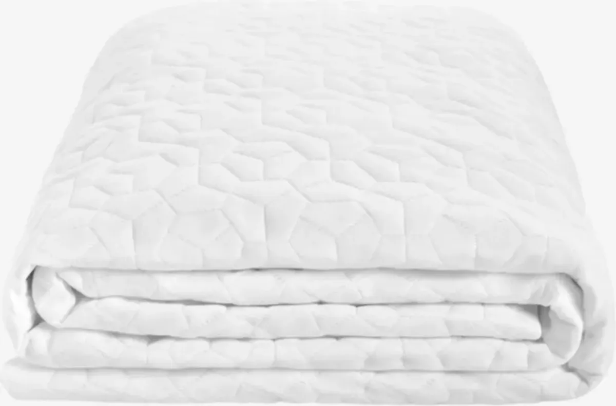 BEDGEAR® Dri-Tec® Performance® Moisture Wicking White Queen Mattress Protector