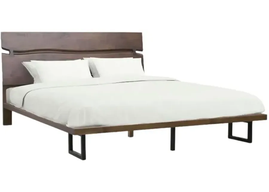 Steve Silver Co. Pasco Cocoa King Panel Bed