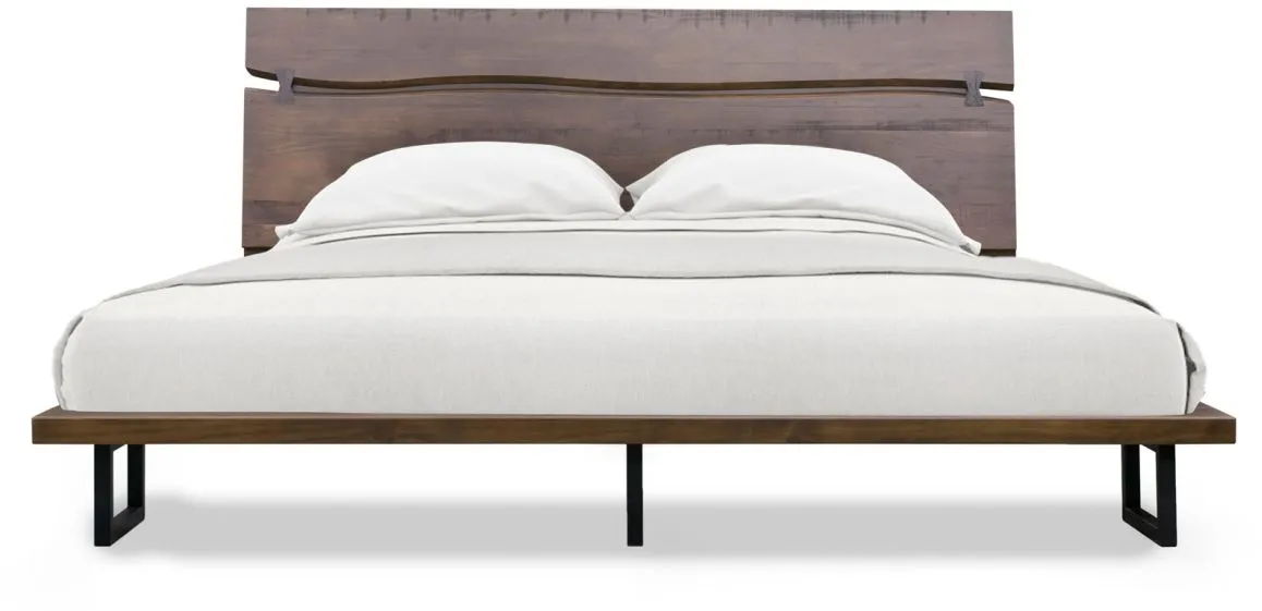 Steve Silver Co. Pasco Cocoa Queen Platform Bed