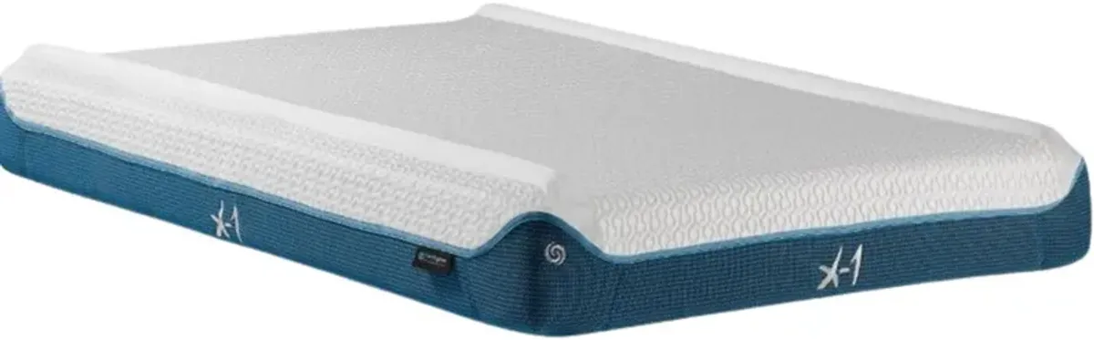 BEDGEAR® X-1 Performance® Foam Plush Tight Top Full Mattress in a Box