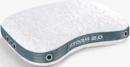 Bedgear® Storm 2.0 Cuddle Curve Standard Pillow