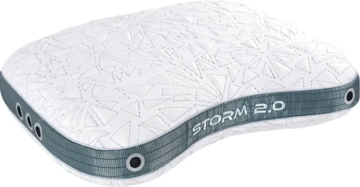 BEDGEAR® Storm 2.0 Cuddle Curve Medium Firm Standard Pillow