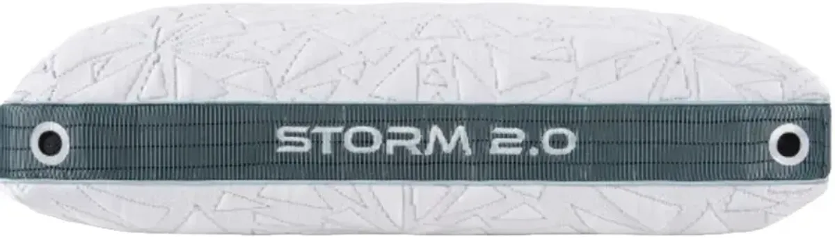 BEDGEAR® Storm 2.0 Performance Medium Standard Pillow