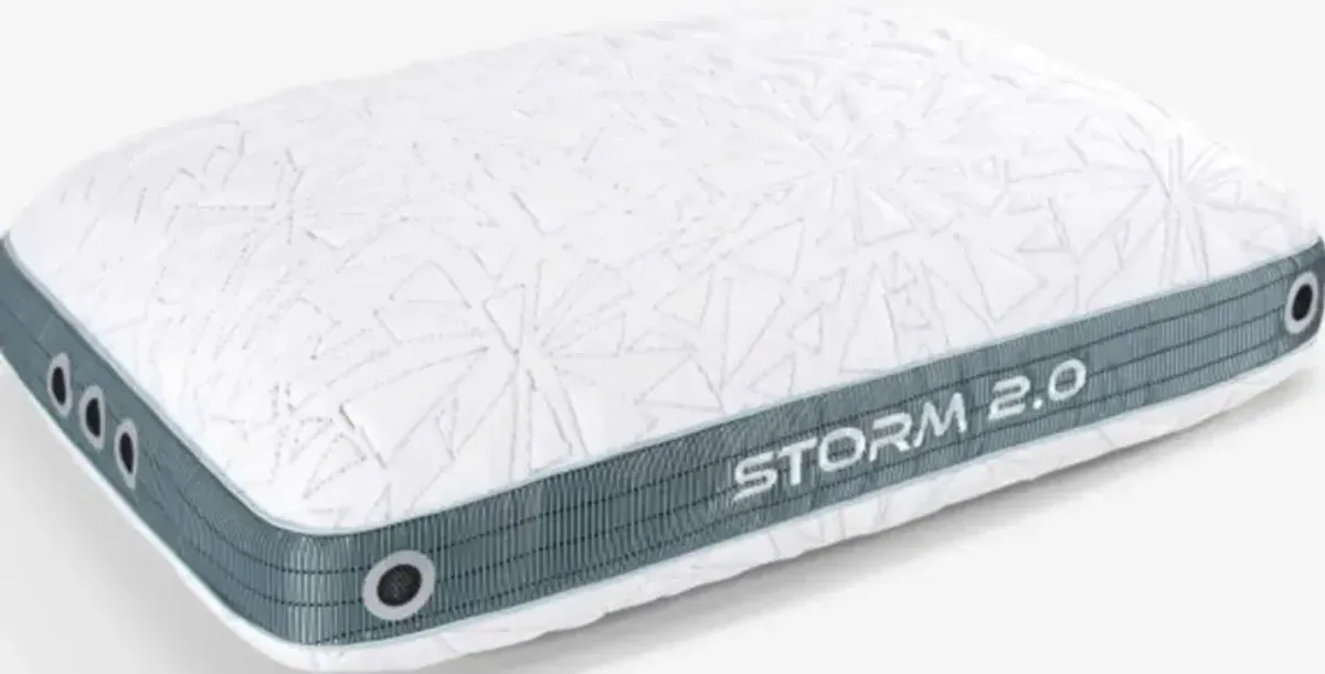 BEDGEAR® Storm 2.0 Performance Medium Firm Standard Pillow