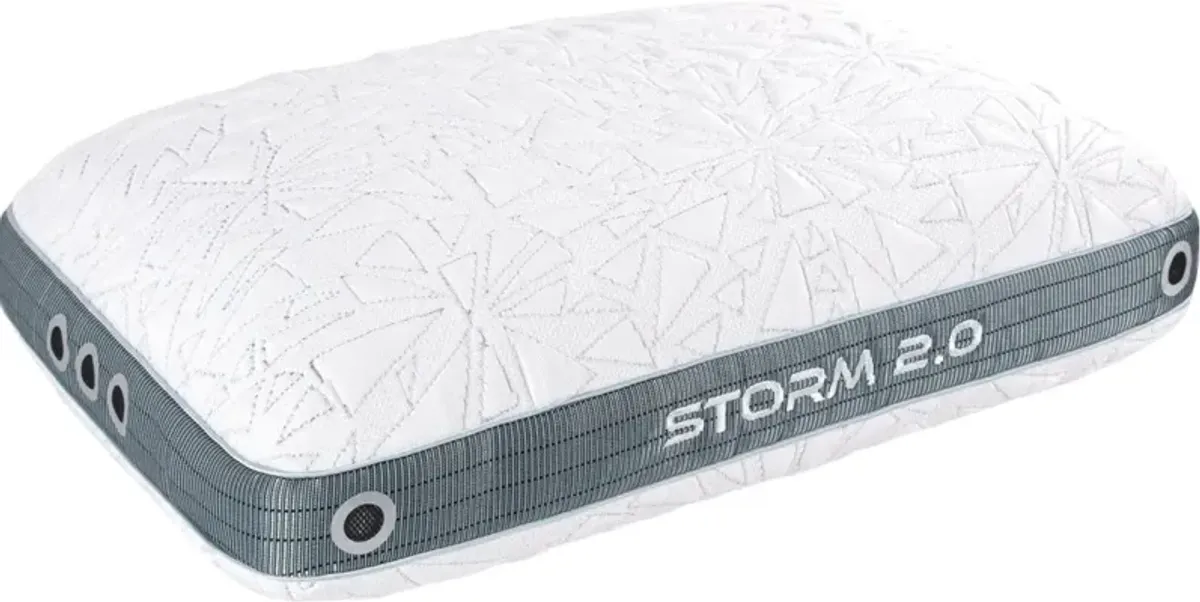 BEDGEAR® Storm 2.0 Performance Medium Firm Standard Pillow