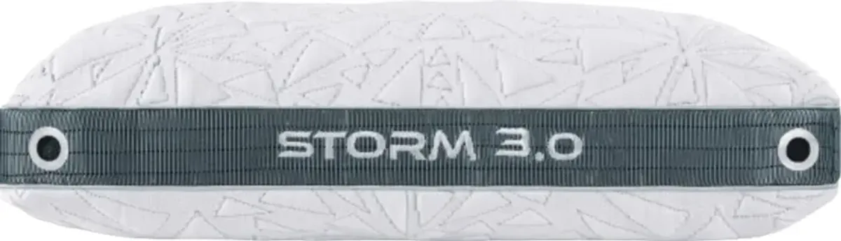 BEDGEAR® Storm 3.0 Performance Medium Firm Standard Pillow