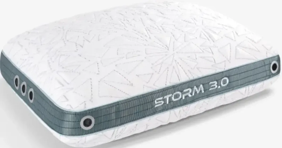 BEDGEAR® Storm 3.0 Performance Medium Firm Standard Pillow