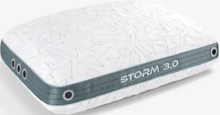 Bedgear® Storm 3.0 Performance Standard Pillow