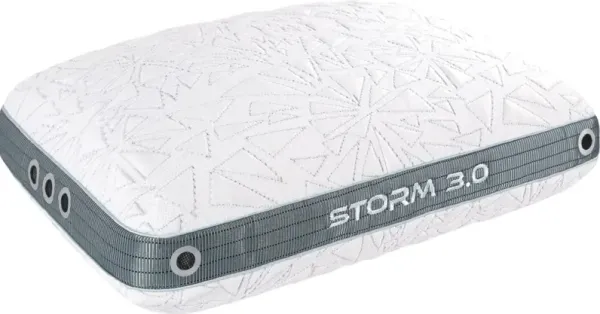BEDGEAR® Storm 3.0 Performance Medium Standard Pillow