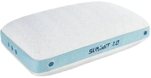 BEDGEAR® Summit 1.0 Performance® Dual Comfort Standard Bed Pillow