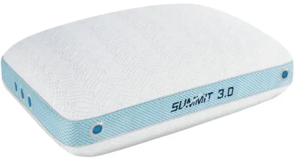 BEDGEAR® Summit 3.0 Performance® Dual Comfort Standard Bed Pillow