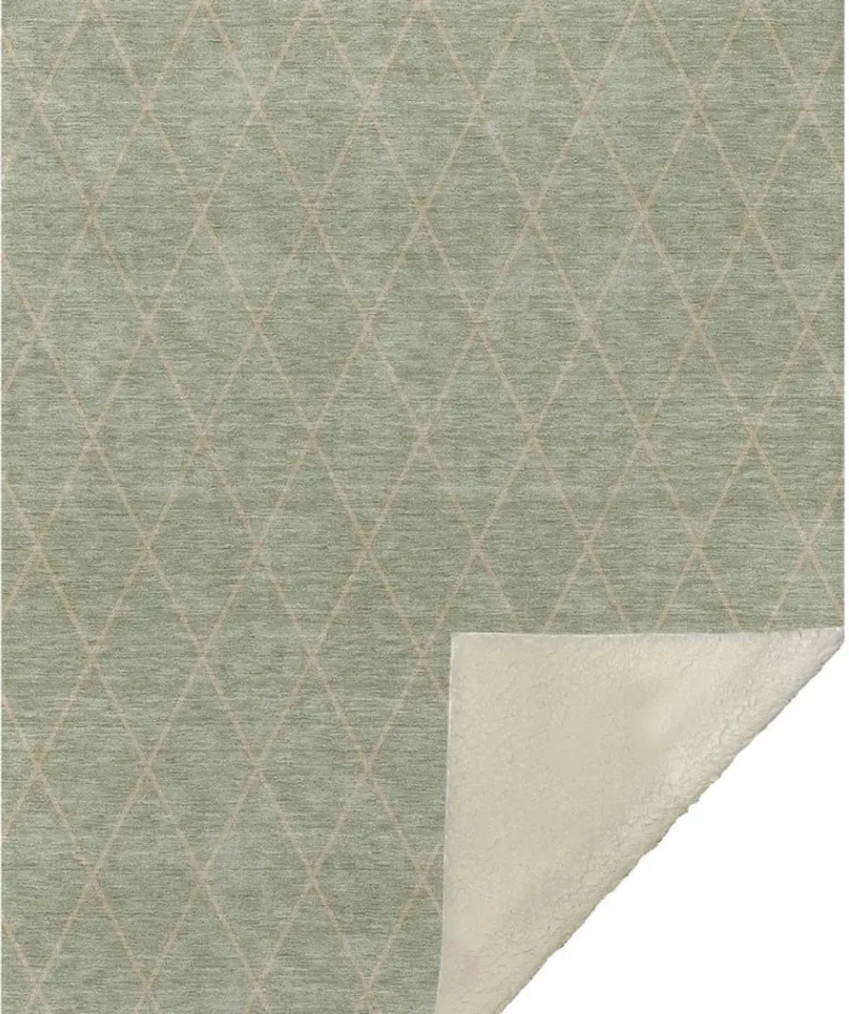 Dalyn Rug Company Burano Green 50''x70'' Throw Blanket