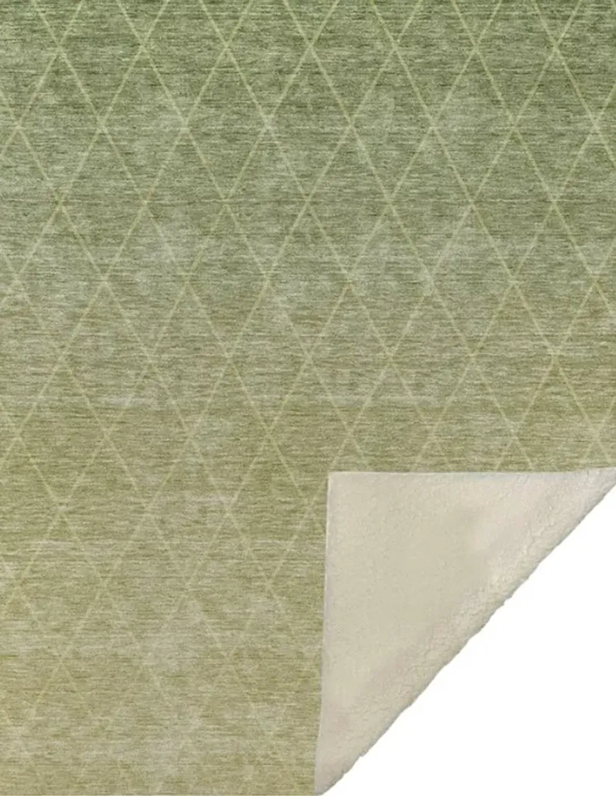 Dalyn Rug Company Lazio Aloe 50''x70'' Throw Blanket