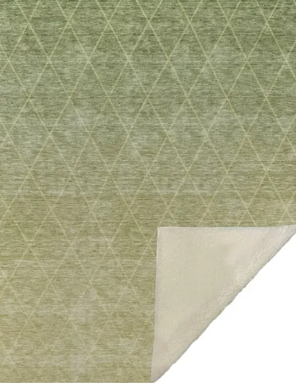 Dalyn Rug Company Lazio Aloe 50''x70'' Throw Blanket