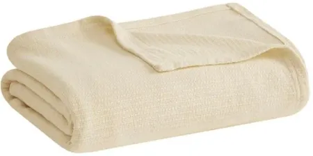 Olliix by Madison Park Freshspun Basketweave Natural Twin Cotton Blanket