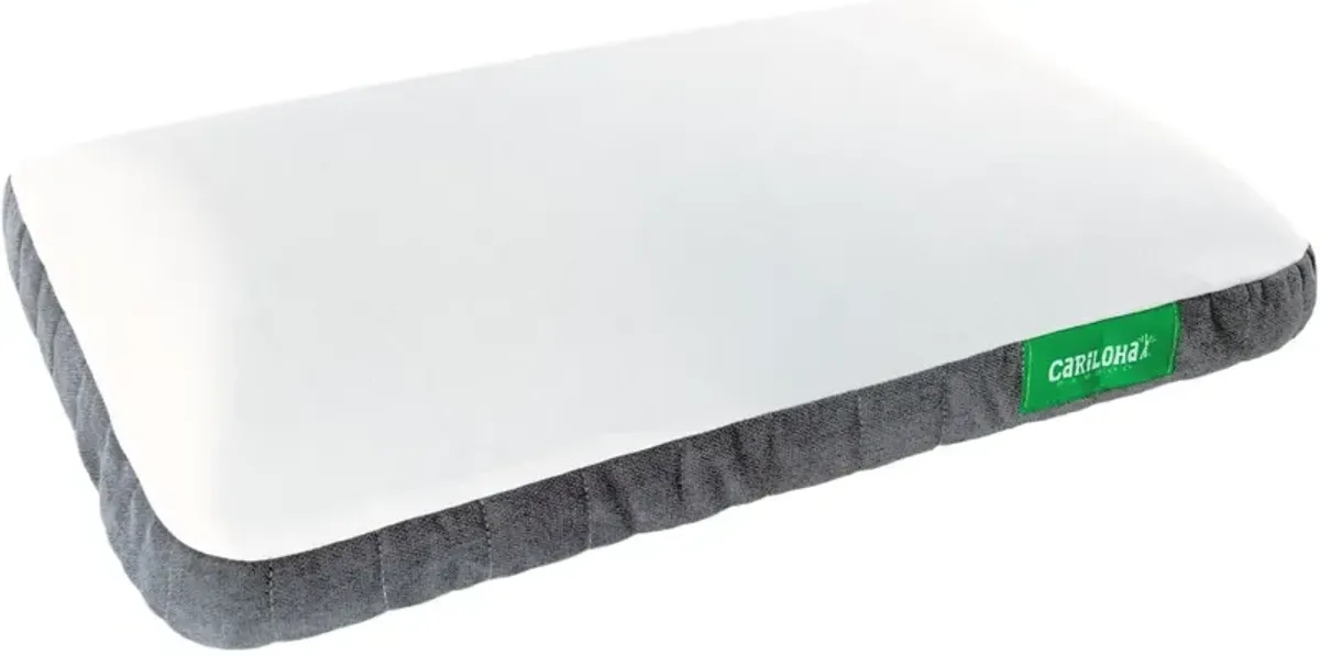 Cariloha Gel Medium Firm King Pillow