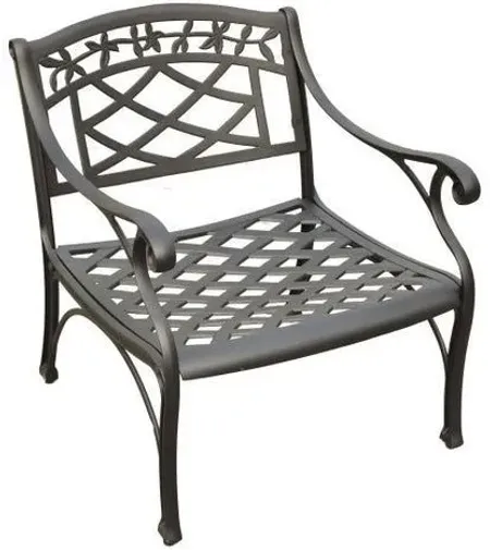 Crosley Furniture® Sedona Black Outdoor Club Chair