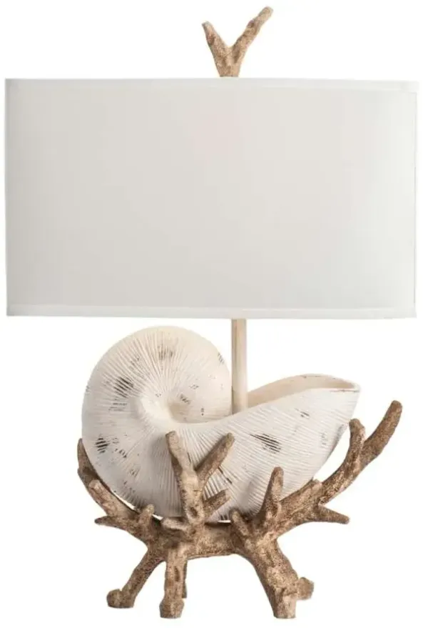 Crestview Collection Sleeping Shell Antique White Table Lamp