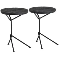 Crestview Collection Obsidian 2-Piece Black Accent End Table Set