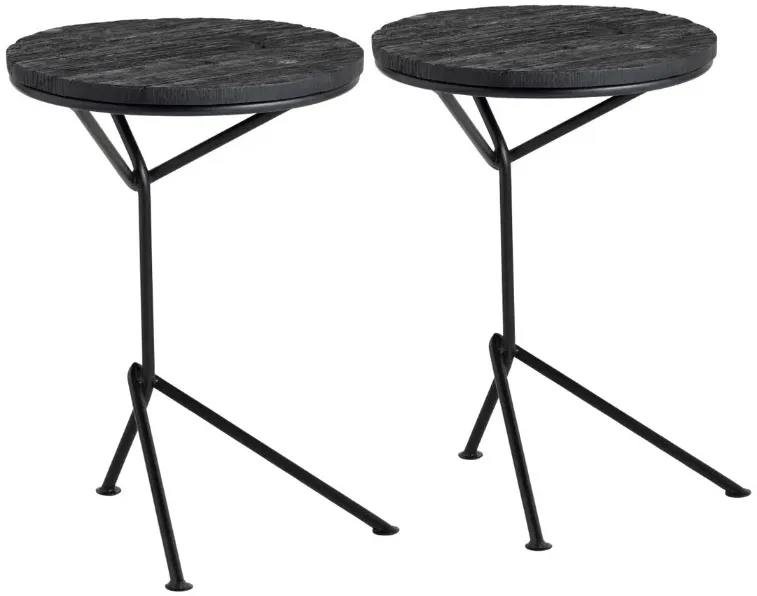 Crestview Collection Obsidian 2-Piece Black Accent End Table Set