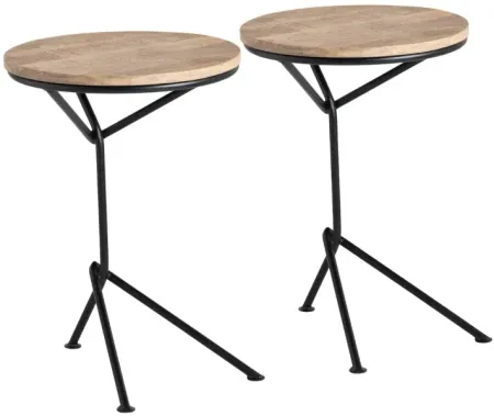 Crestview Collection Hartford 2-Piece Brown Accent End Table Set