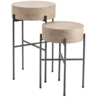 Crestview Collection Normandy 2-Piece Gray Accent Table Set