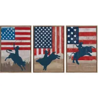 Crestview Collection Aint My First Rodeo 3-Piece Hand Finished Wall Art Set