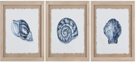 Crestview Collection Come Shell Or Highwaters 3-Piece Wall Art Set