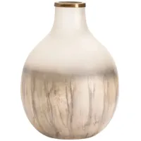 Crestview Collection Astra Frosted Large Vase