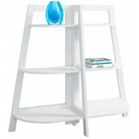 Monarch Specialties Inc. White Accent Etagere