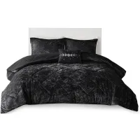 Olliix by Intelligent Design Felicia Black Full/Queen Velvet Comforter Set