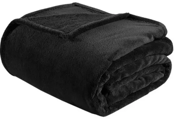 Olliix by Intelligent Design Microlight Plush Black King Oversized Blanket