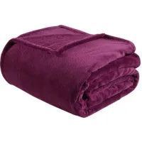 Olliix by Intelligent Design Microlight Plush Purple Full/Queen Oversized Blanket