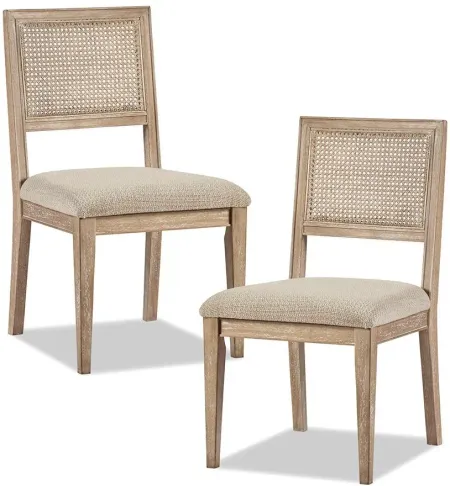 Olliix by INK+IVY Light Brown Set of 2 Kelly Dining Chairs