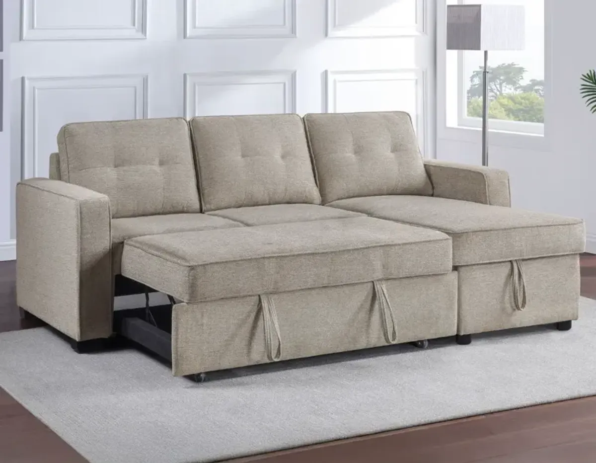 Steve Silver Co. Noah Brown Sofa Bed