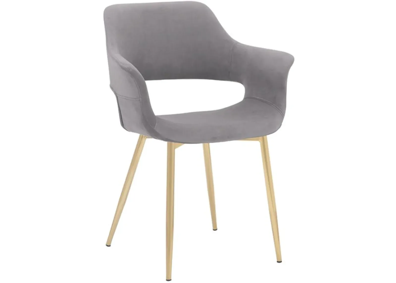 Armen Living Gigi 2-Piece Gold/Gray Dining Room Chair