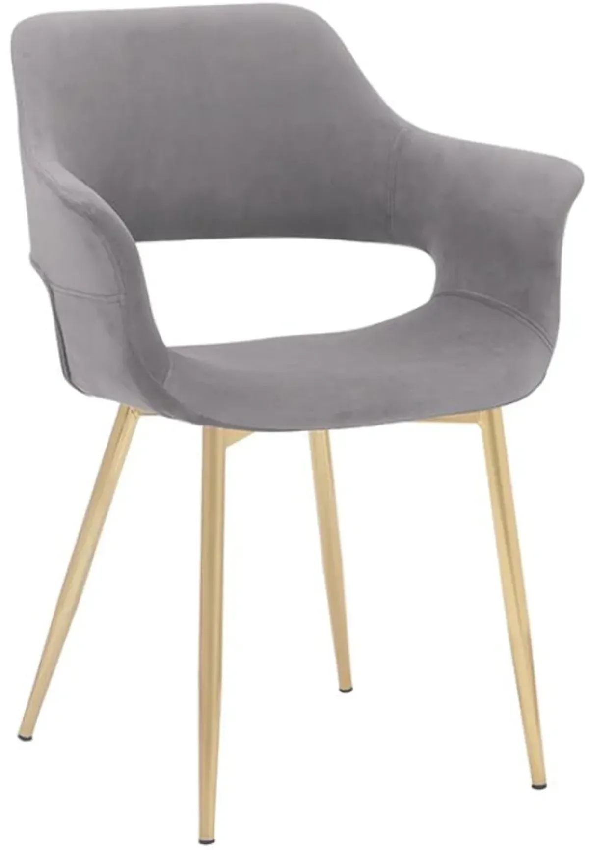 Armen Living Gigi 2-Piece Gold/Gray Dining Room Chair