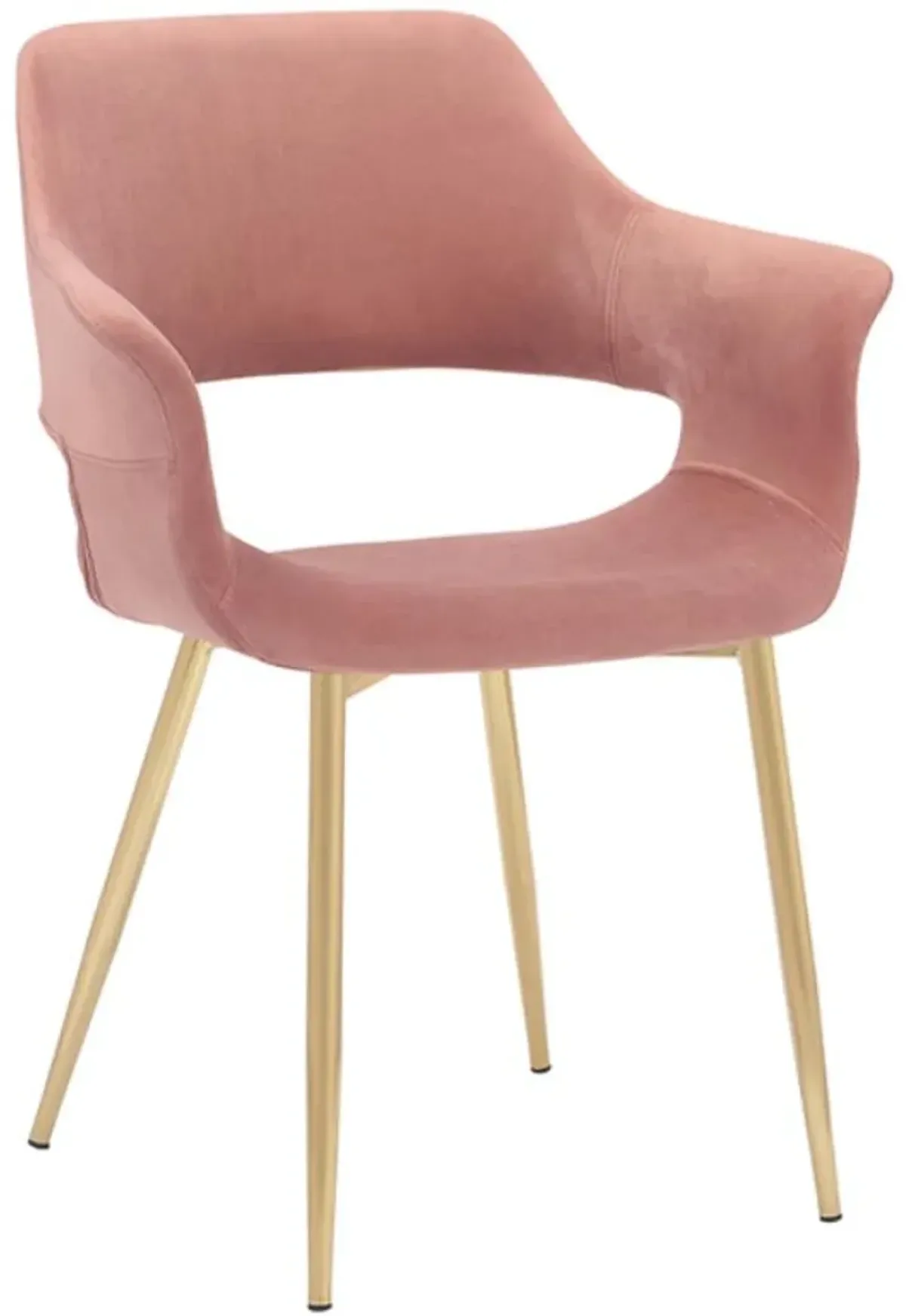 Armen Living Gigi 2-Piece Gold/Pink Dining Room Chair